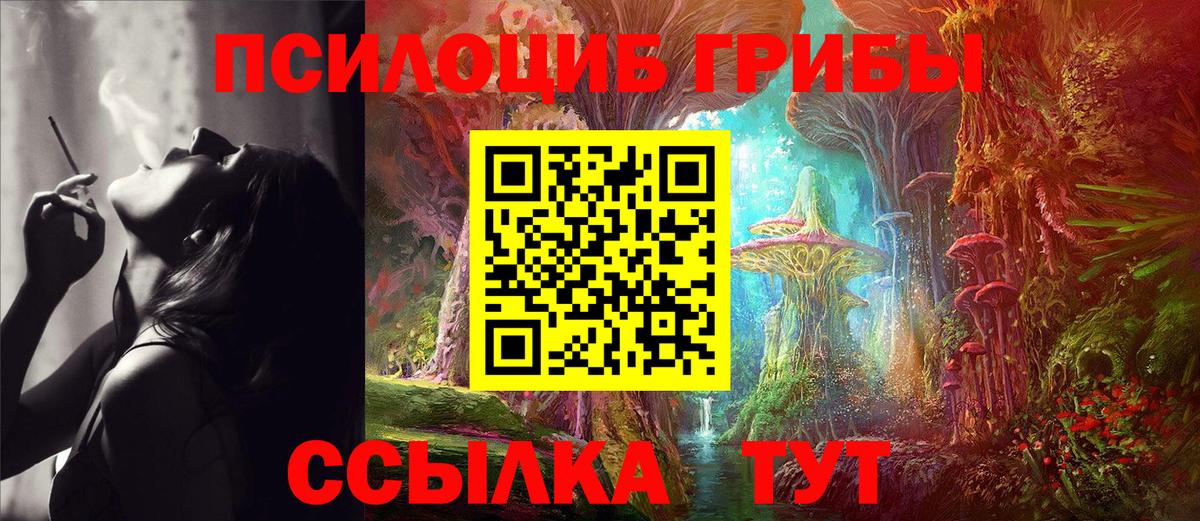 Галлюциногенные грибы мицелий Мурино