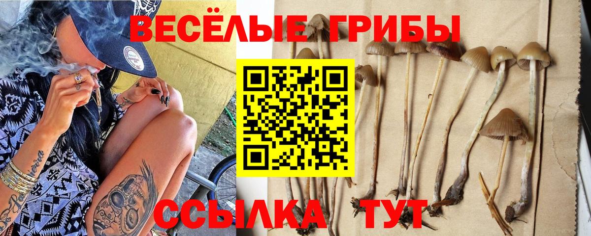Мурино  Псилоцибиновые грибы MAGIC MUSHROOMS  Вход с VPN 