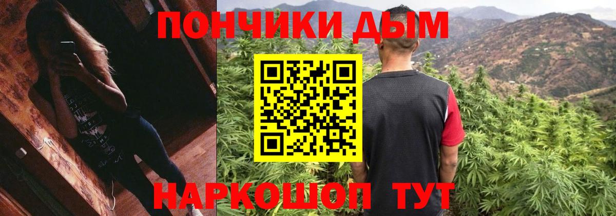 Бошки марихуана индика Мурино